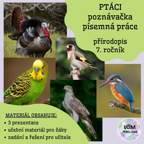 Ptáci - opakování