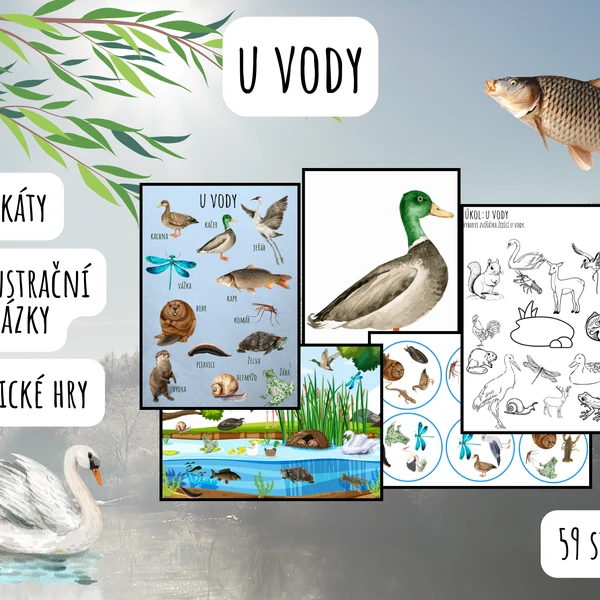U jezera, Život u vody