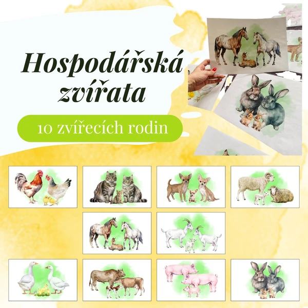 Hospodářská zvířata - demonstrační obrázky