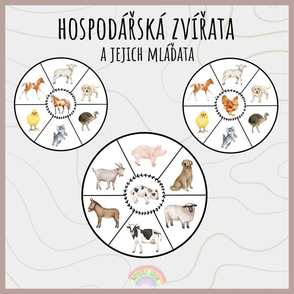 Hospodářská zvířata a jejich mláďata