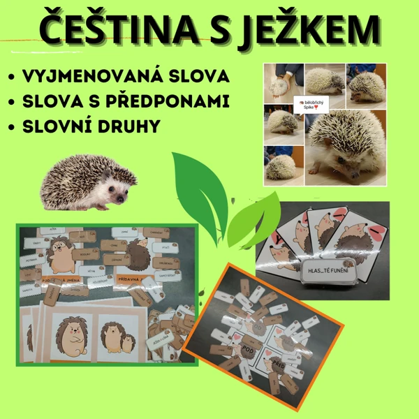 Ježek- čeština s ježkem