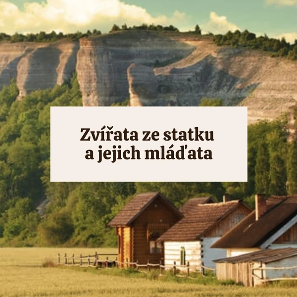 Zvířata ze statku a jejich mláďata