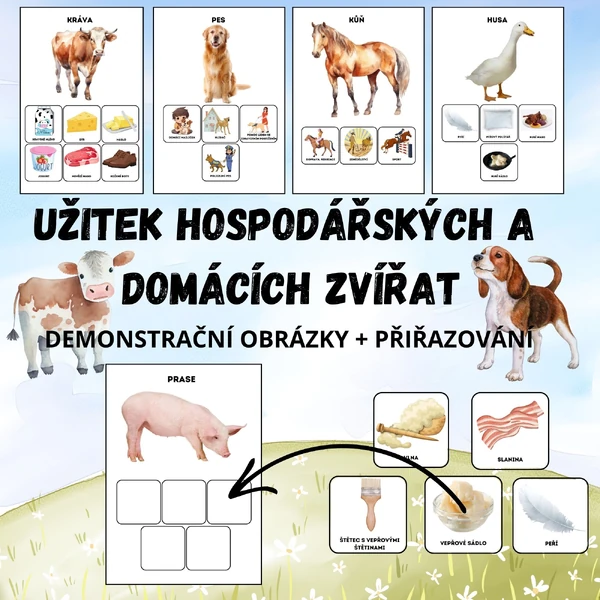 UŽITEK DOMÁCÍCH A HOSPODÁŘSKÝCH ZVÍŘAT - Demonstrační obrázky + přiřazování