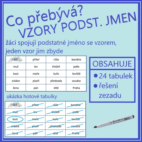 Co přebývá? Vzory podstatných jmen