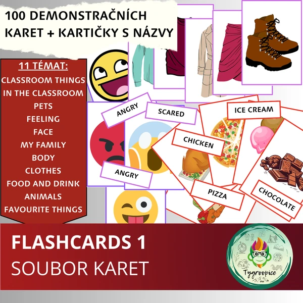 Flashcards 1
