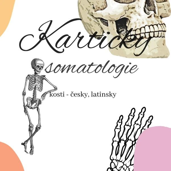 SOMATOLOGIE - Kartičky ( horní končetina )