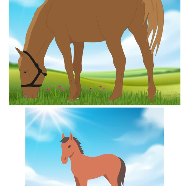 Zvířátka a jejich mláďata, farma