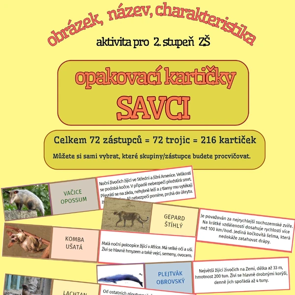 výukové kartičky- SAVCI