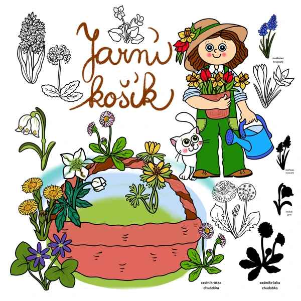 Jarní košík