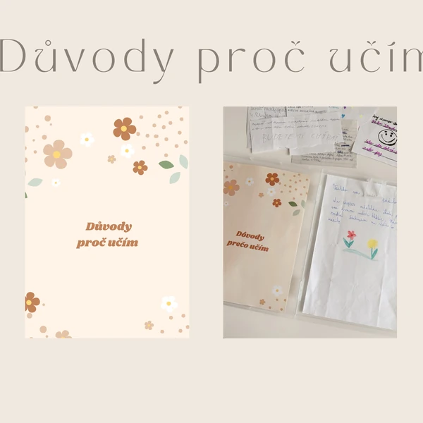 Důvody, proč učím