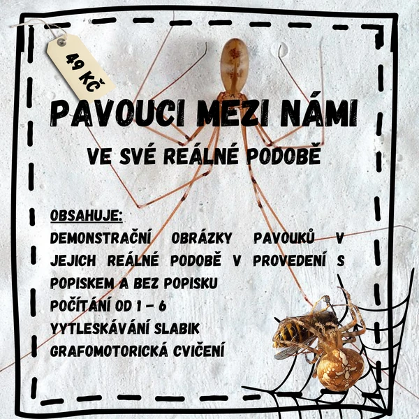 Pavouci mezi námi
