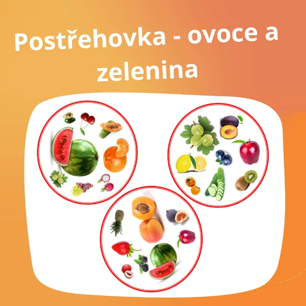 Ovocná a zeleninová postřehovka