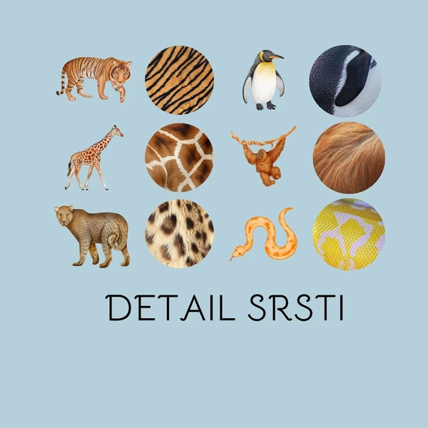Detail srsti - aktivita -Zvířátka v ZOO