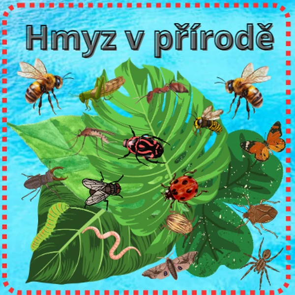 HMYZ V PŘÍRODĚ (Celodenní hra)