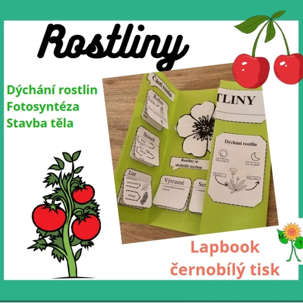 Rostliny - lapbook