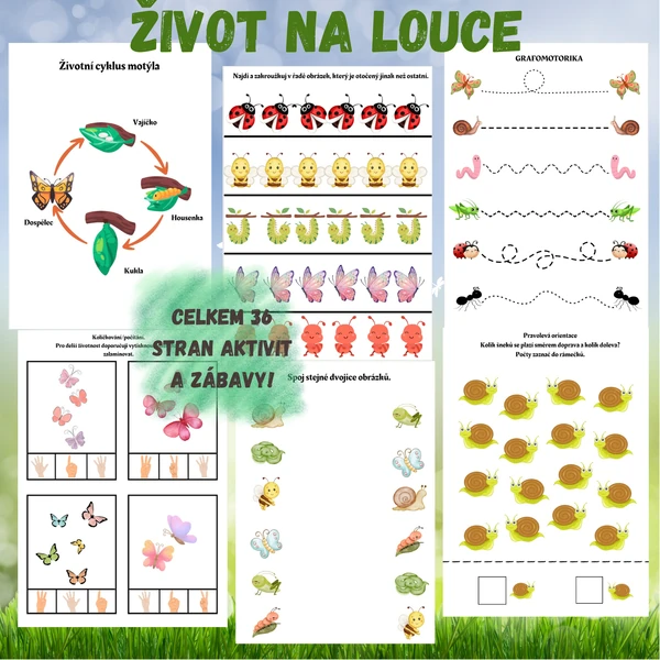 Život na louce