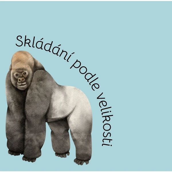 Skládají podle velikosti - ZOO