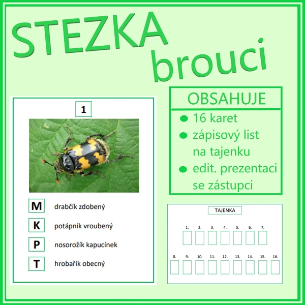 Stezka - brouci