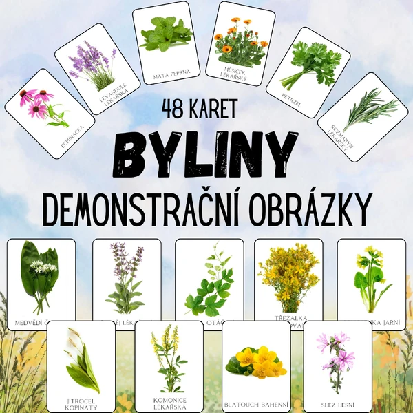BYLINY, léčivé rostliny, květiny - demonstrační obrázky