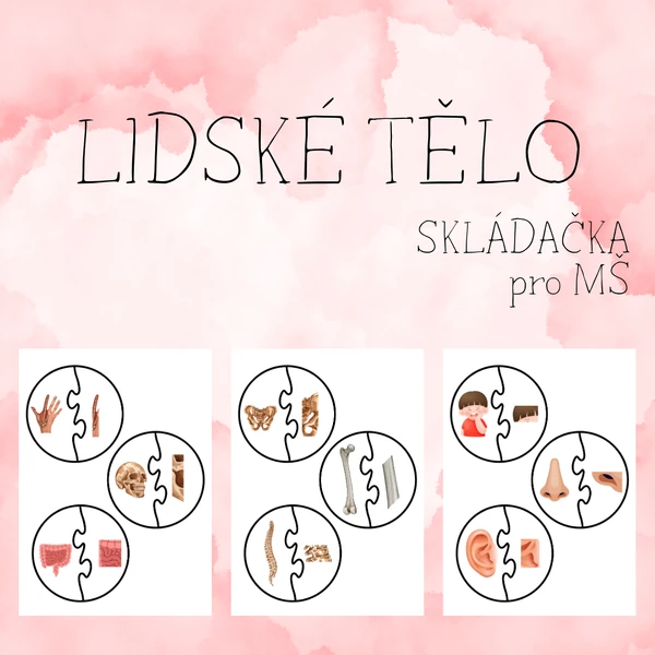 Skládačka - LIDSKÉ TĚLO