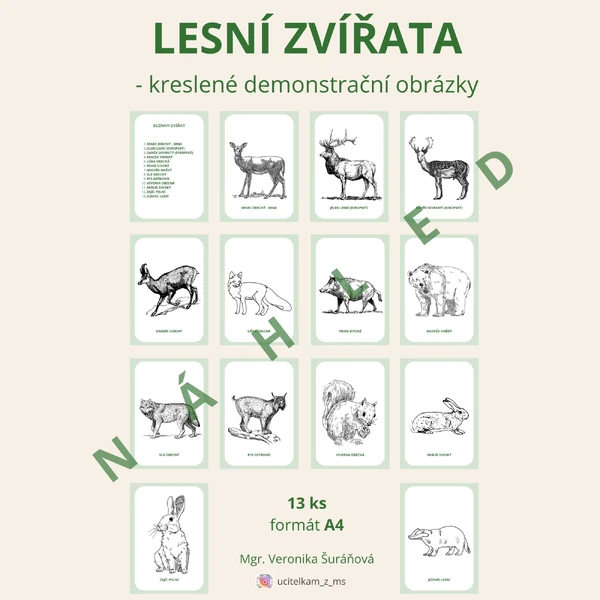 LESNÍ ZVÍŘATA - demonstrační obrázky (omalovánkové)