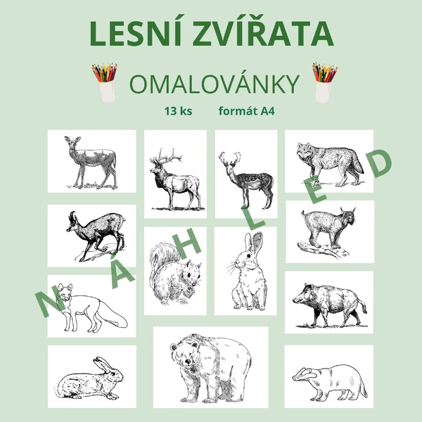 LESNÍ ZVÍŘATA - omalovánky