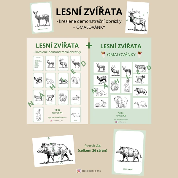 LESNÍ ZVÍŘATA - demonstrační obrázky + omalovánky