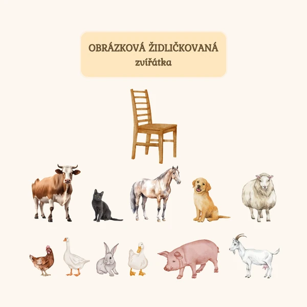 Obrázková židličkovaná - domácí a hospodářská zvířata