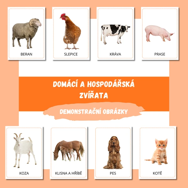 DOMÁCÍ A HOSPODÁŘSKÁ ZVÍŘATA - demonstrační obrázky