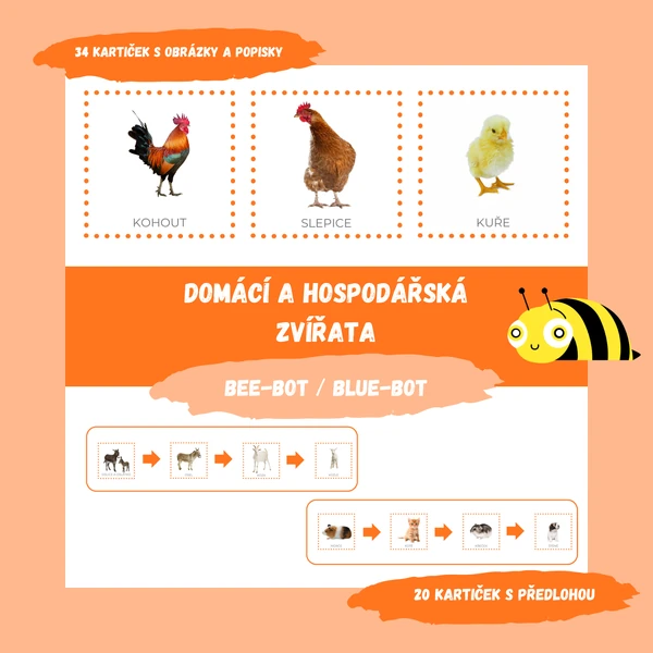 DOMÁCÍ A HOSPODÁŘSKÁ ZVÍŘATA - Bee-Bot / Blue-Bot