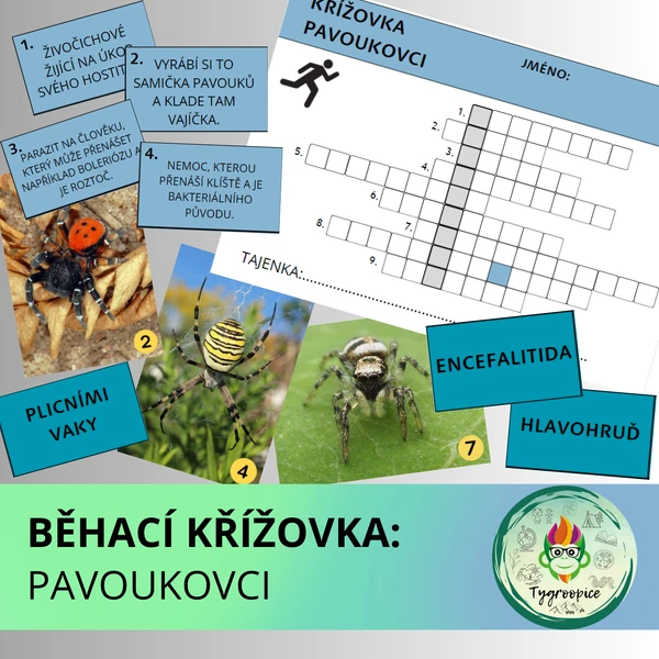 Běhací křížovka - pavoukovci
