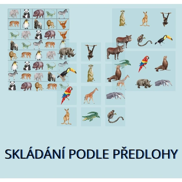 Skládání podle předlohy - ZOO