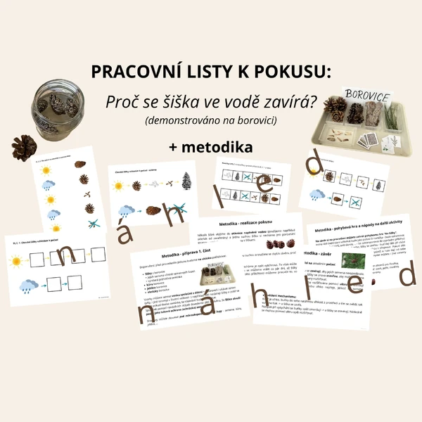 Pracovní listy - POKUS: Proč se šišky zavírají? + metodika + náměty na aktivity