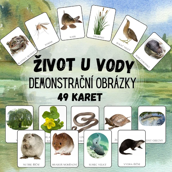 Život u vody, zvířata, rostliny - DEMONSTRAČNÍ OBRÁZKY