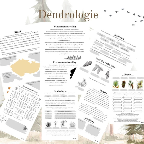 Dendrologie - krytosemenné a nahosemenné rostliny