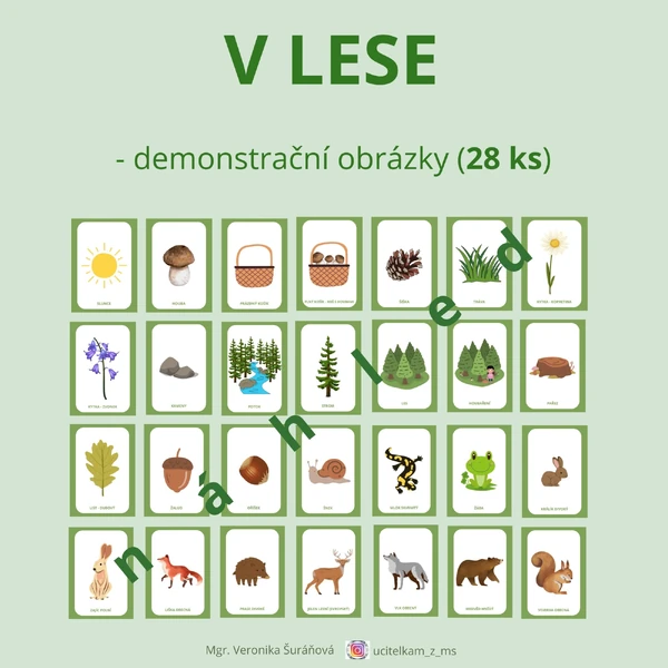 V LESE - demonstrační obrázky (28 ks, A4)