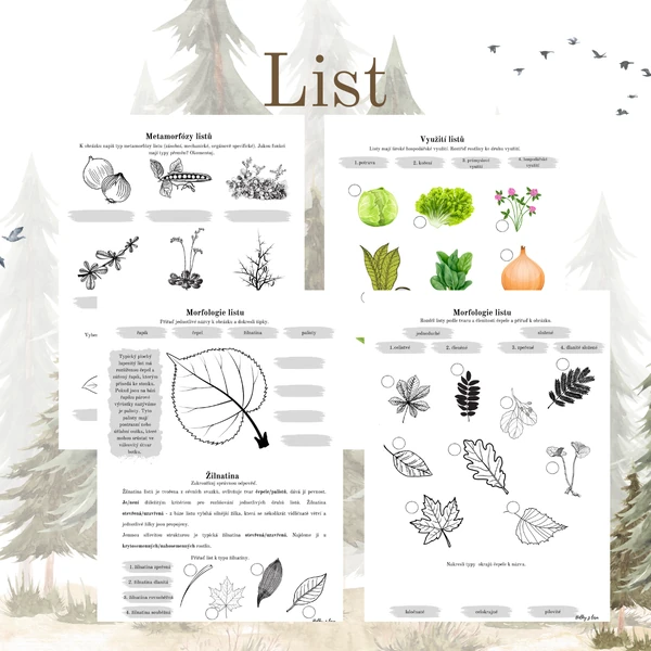List