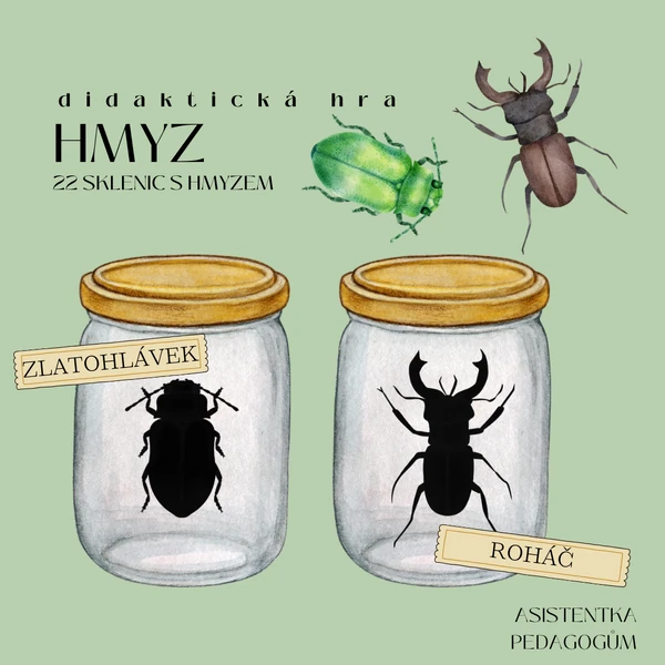 Pochytej hmyz - didaktická hra