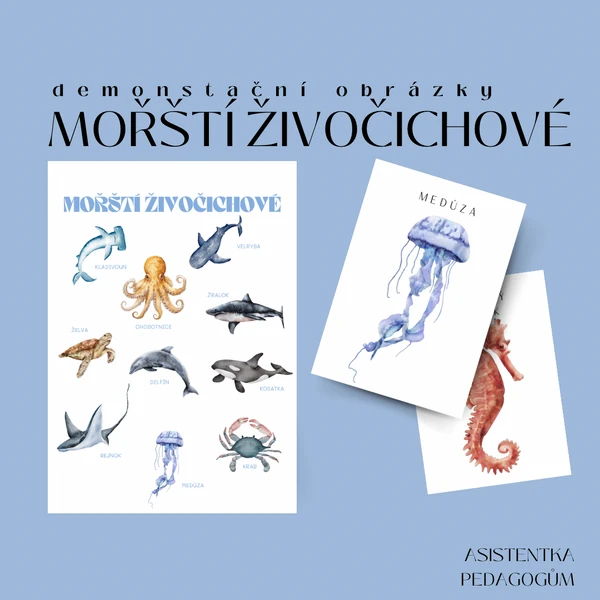 Mořští živočichové - demonstrační obrázky 