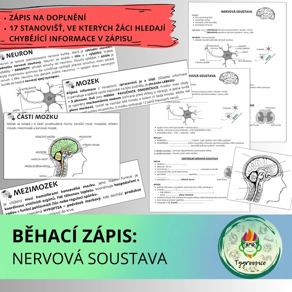 Běhací zápis: nervová soustava