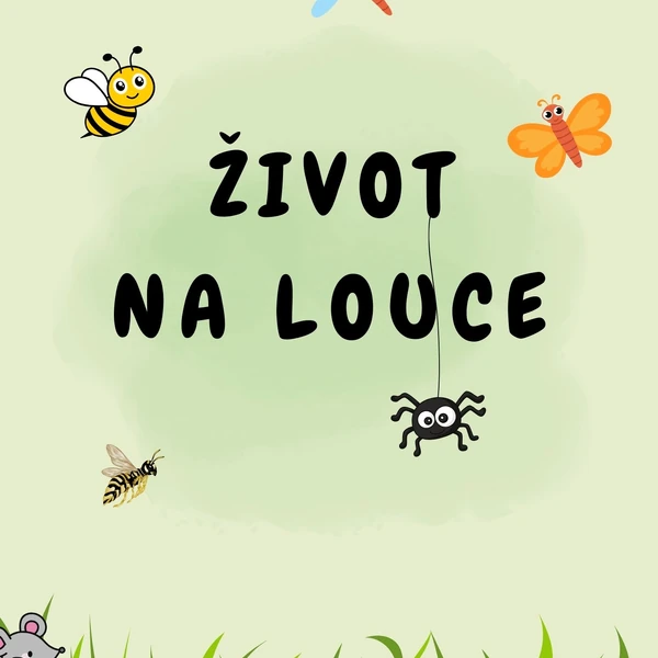 ŽIVOT NA LOUCE🦋🐝