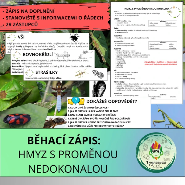 Běhací zápis: hmyz s proměnou nedokonalou