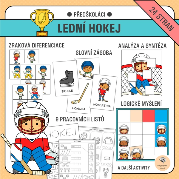 Lední hokej