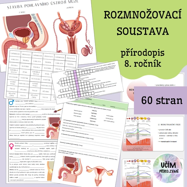 Rozmnožovací soustava - kompletní balíček