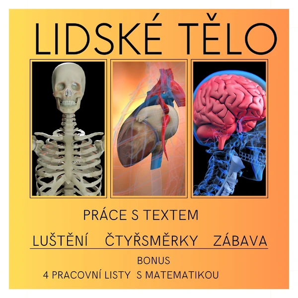 Lidské tělo 