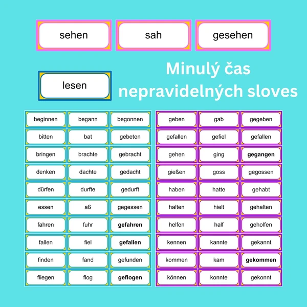 Slovesa minulý čas: Präteritum + Perfekt
