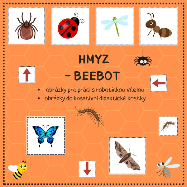 HMYZ - didaktická včelka beebot