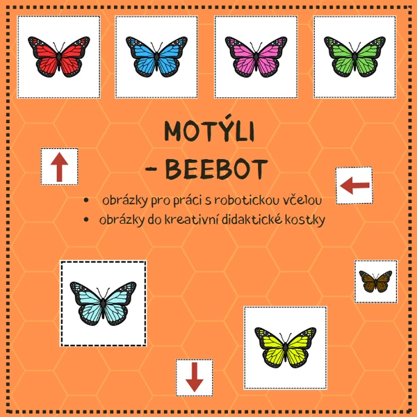 MOTÝLI - didaktická včelka beebot