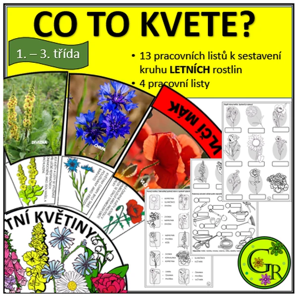 CO TO KVETE - LÉTO