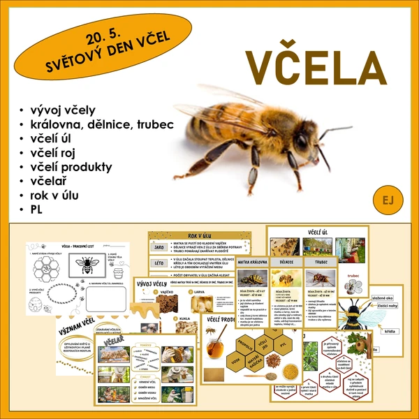 Včela